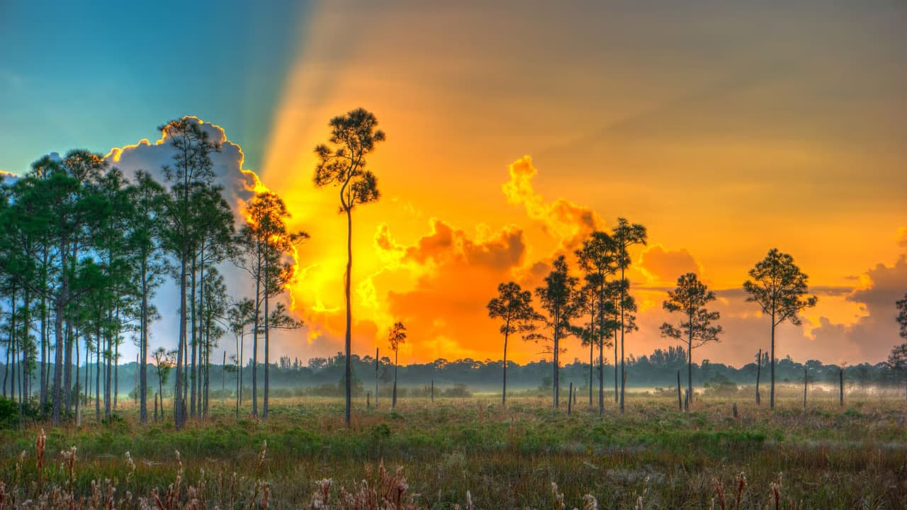 The Acreage and Loxahatchee neighborhood