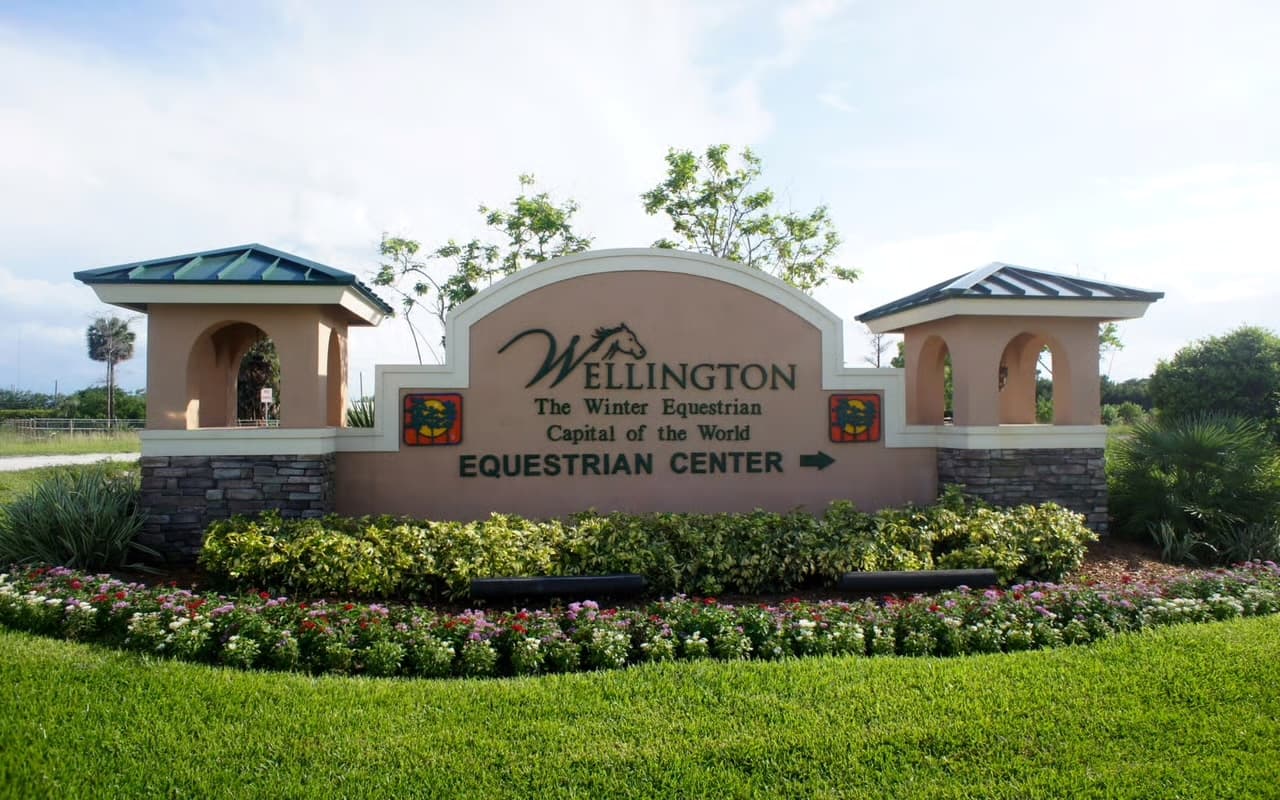 Wellington neighborhood