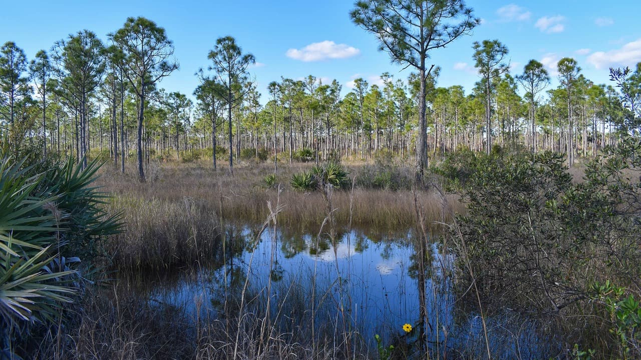 JW Corbett Wildlife Management Area