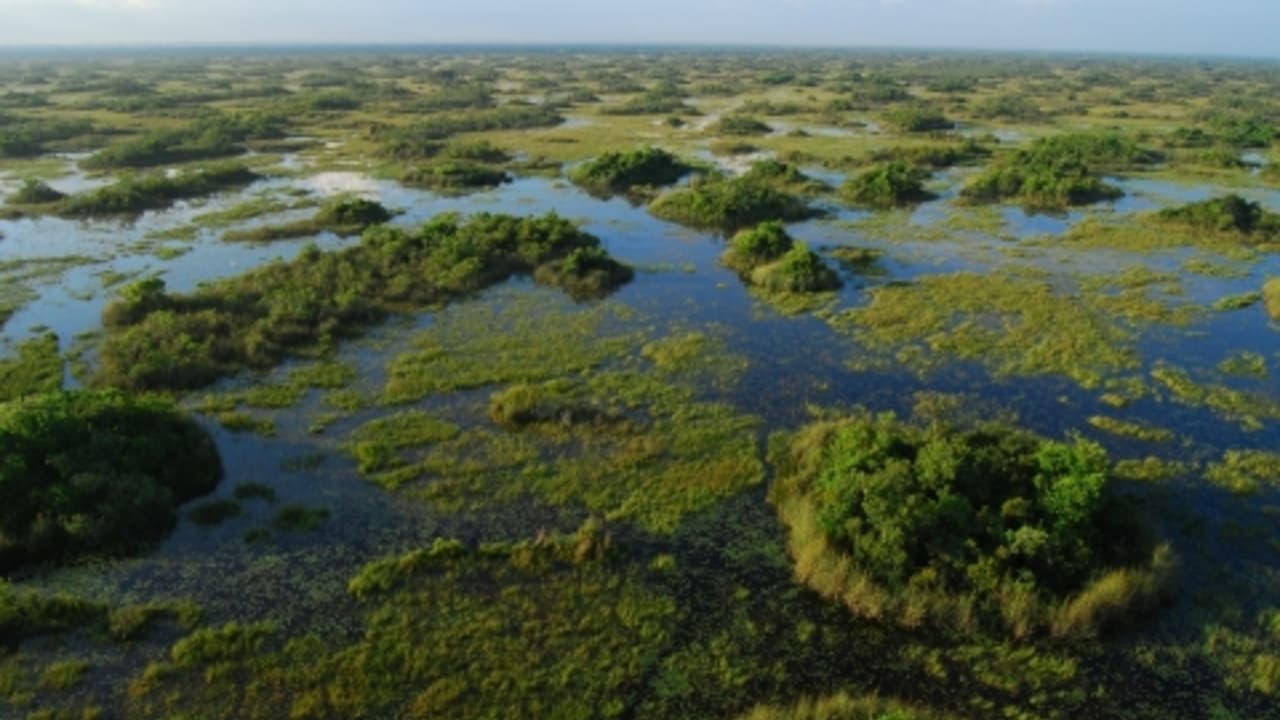 Arthur R. Marshall Loxahatchee National Wildlife Refuge