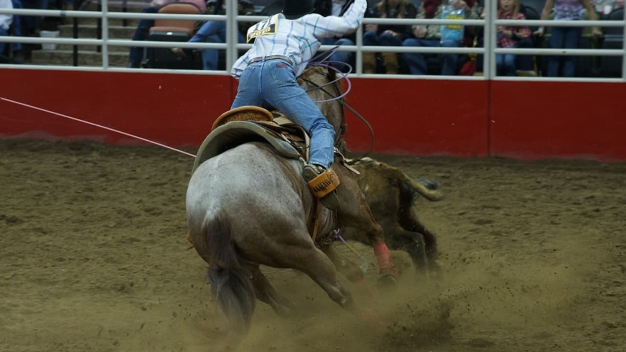 Bergeron Rodeo Grounds