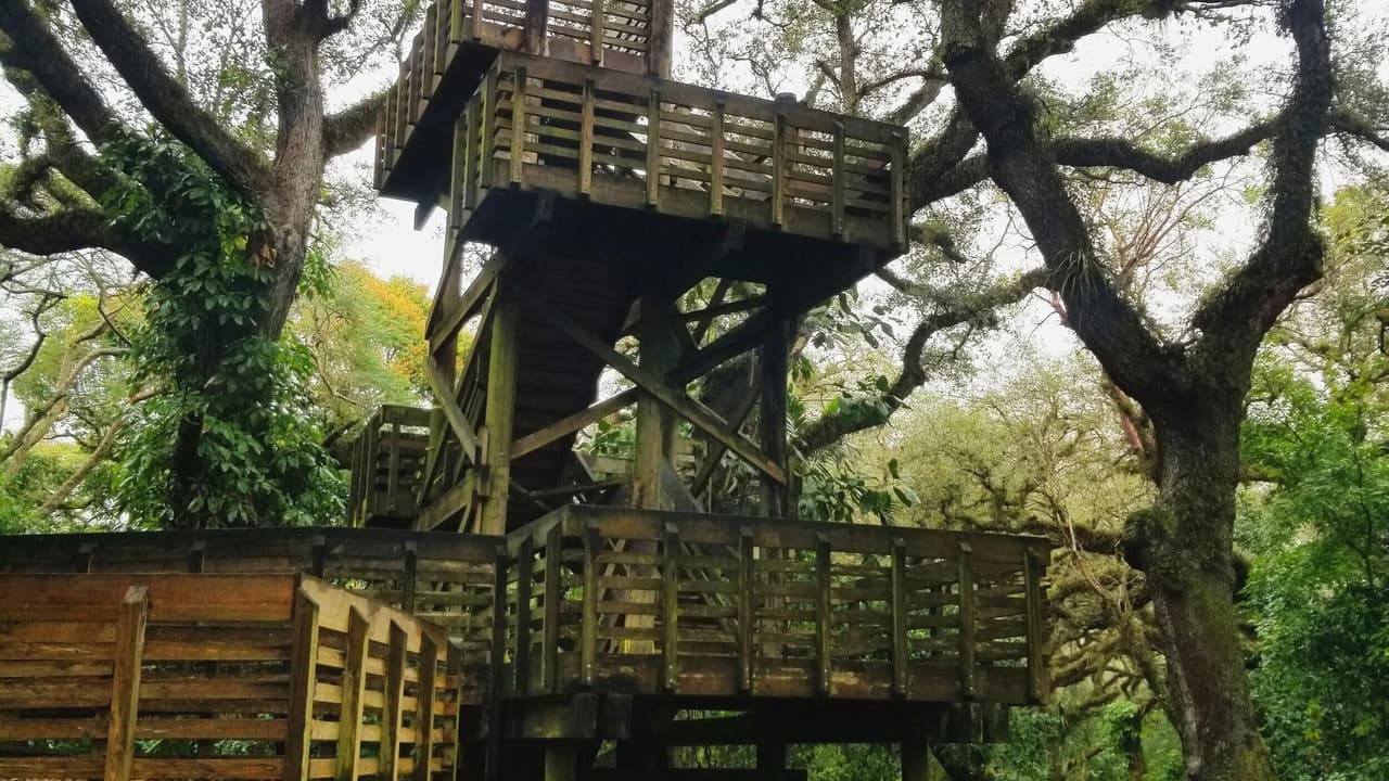Tree Tops Park
