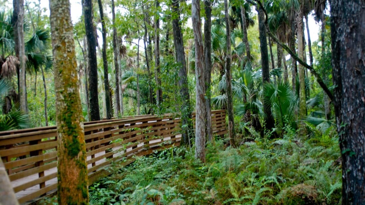 Riverbend Park