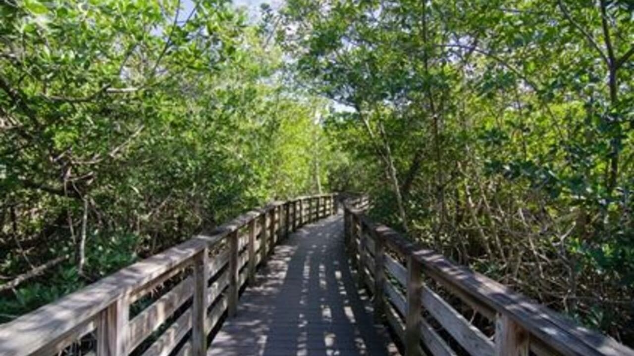 Colohatchee Park