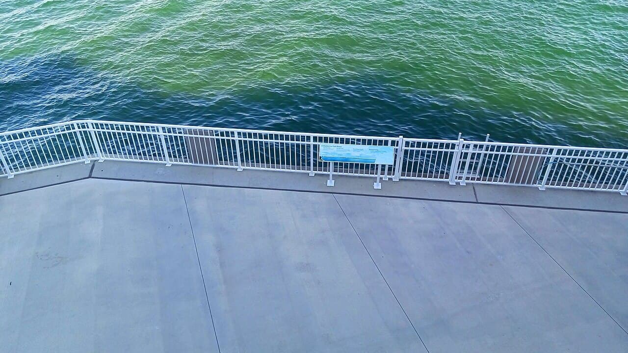 Manatee Lagoon